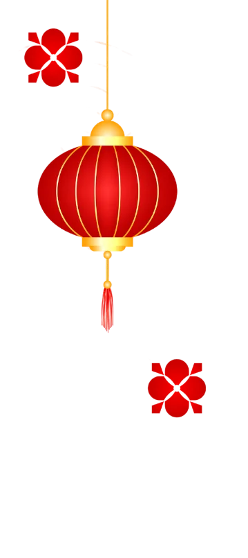 Chinese new year decoration